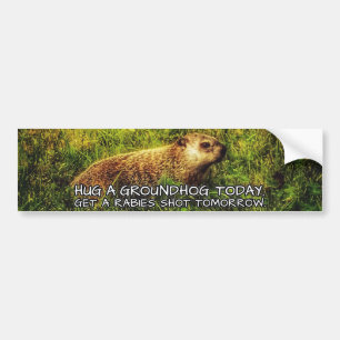 Adesivo Para Carro Abrace um groundhog hoje. Fique uma raiva