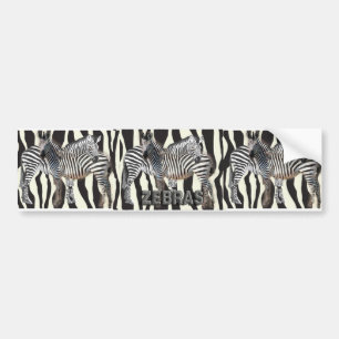 ADESIVO PARA CARRO ABRAÇO DA ZEBRA