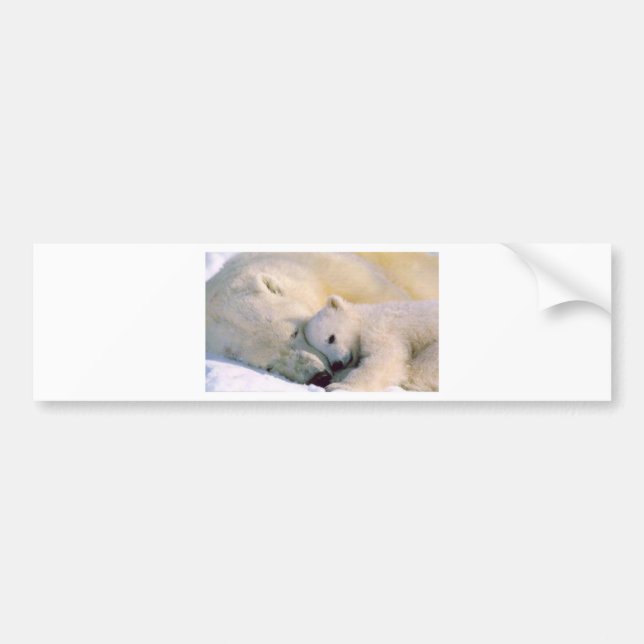 Adesivo Para Carro Abraços de urso polar (Frente)