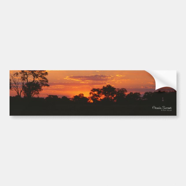 Adesivo Para Carro Acacia Sunset Bumper Stickers (Frente)