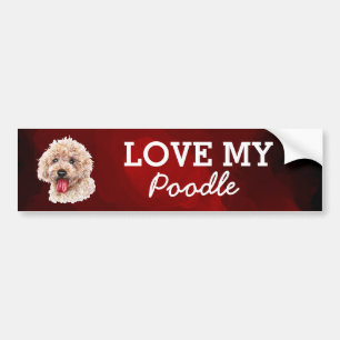 Adesivo Para Carro Acondicionador de coágulos de poodle