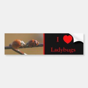 Adesivo Para Carro Adoro Heart Ladybugs Natureza 3