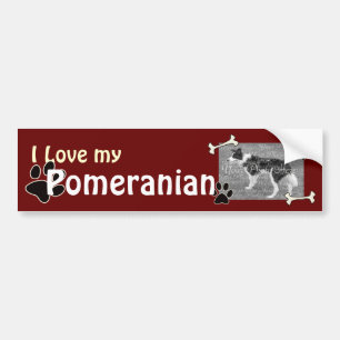 Adesivo Para Carro Adoro o meu Pomerano Bumper Sticker