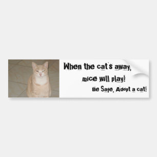 Adesivo Para Carro Adote um gato
