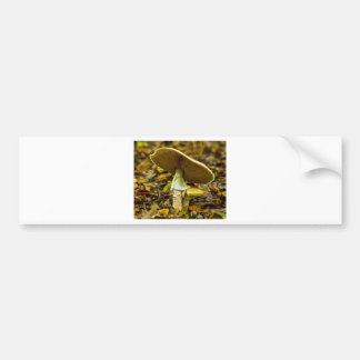 Adesivo Para Carro Agaric de mosca amarelo alaranjado
