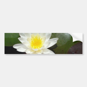Adesivo Para Carro Água Lily