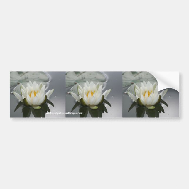 Adesivo Para Carro Água Lily Flor Bumper Stick Carro (Frente)