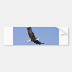 Adesivo Para Carro Águia americana americana