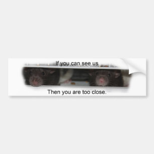 Adesivo Para Carro Alimente-me Rattie