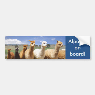Adesivo Para Carro Alpacas do autocolante no vidro traseiro da alpaca