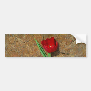 Adesivo Para Carro amarelo e Red Tulip