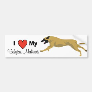 Adesivo Para Carro Ame meu Malinois