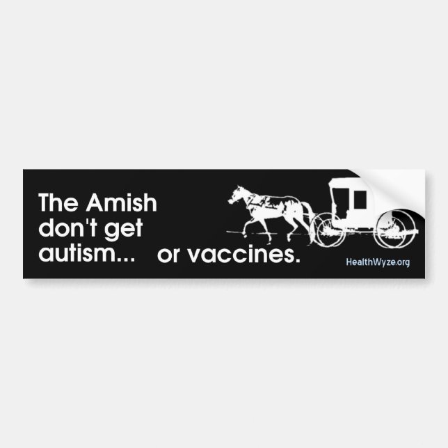 Adesivo Para Carro Amish nenhum autismo (Frente)