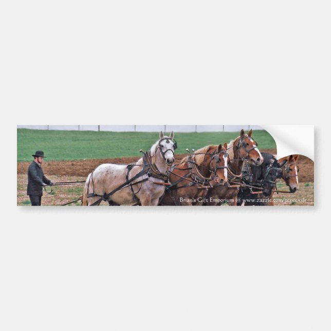 Adesivo Para Carro Amish Team Bumper Sticker (Frente)