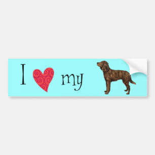 Adesivo Para Carro Amo o meu Espanhol Americano de Água