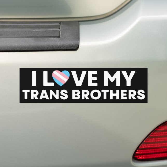 Adesivo Para Carro Amo Os Meus Irmãos Transgêneros Os Direitos LGBT (No carro)