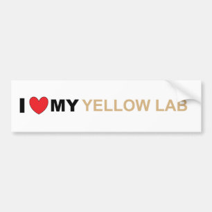 Adesivo Para Carro Amor amarelo LR