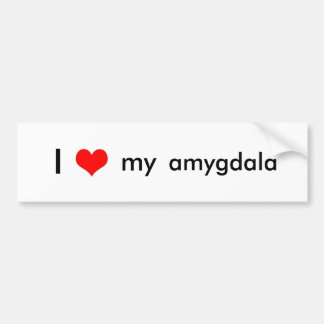 Adesivo Para Carro Amor do cérebro