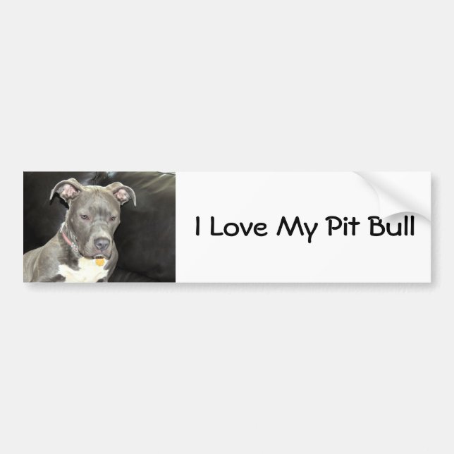 Adesivo Para Carro Amor do pitbull (Frente)