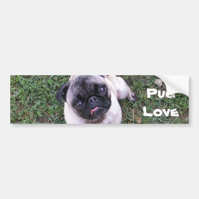 Adesivo Para Carro Amor do Pug (Frente)