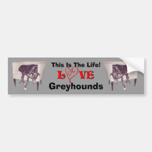 Adesivo Para Carro Amor Greyhound Esta É A Vida Fofo 