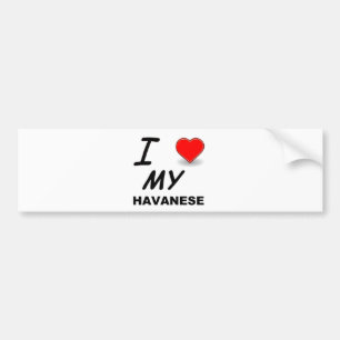 Adesivo Para Carro amor havanese