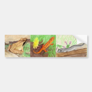 Adesivo Para Carro Amphibians