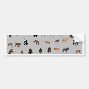 Adesivo Para Carro Animais
