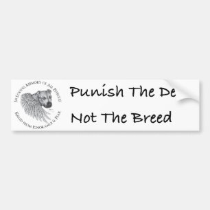 Adesivo Para Carro Anjo de Zeus