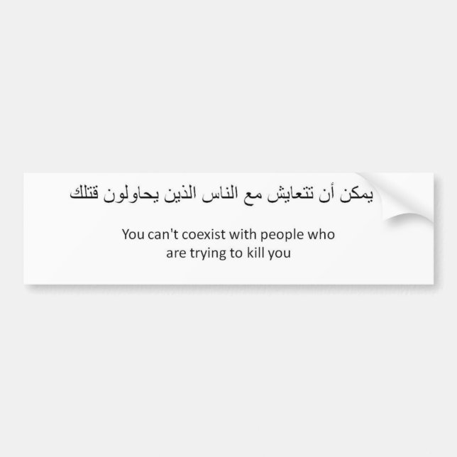 Adesivo Para Carro Anti-Coexista (Frente)