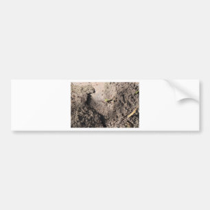 Adesivo Para Carro Ants Go Marching