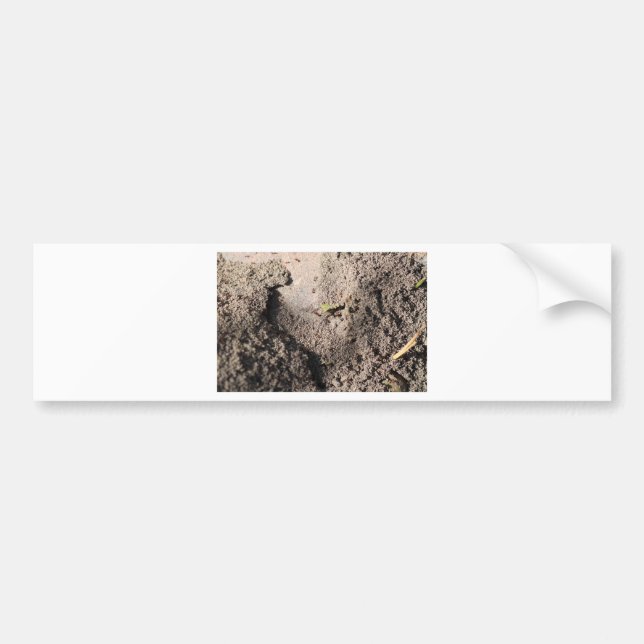 Adesivo Para Carro Ants Go Marching (Frente)