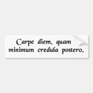 Adesivo Para Carro Apreenda o dia, confiança o menos possível .....