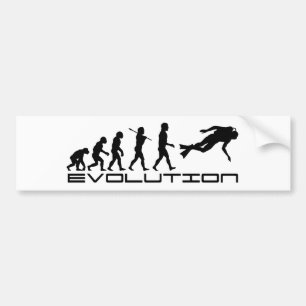 Adesivo Para Carro Arte da evolução do esporte de água do mergulho