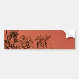 Adesivo Para Carro Árvore com céu vermelho