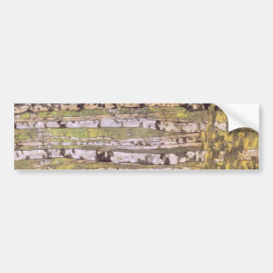 Adesivo Para Carro Árvores-aves numa Floresta Florestal (Roerich)
