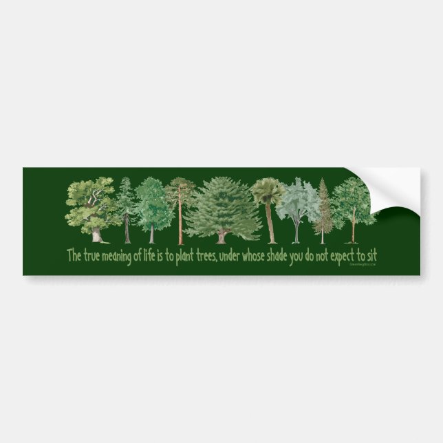 Adesivo Para Carro Árvores de Plantas - Tree Lover, Hugger (Frente)