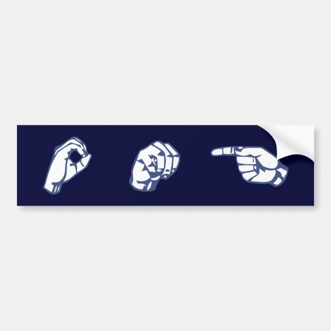 ADESIVO PARA CARRO ASL OMG (Frente)