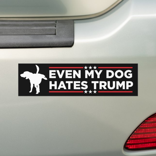 Adesivo Para Carro Até Meu Cachorro Odeia Trump Anti-Trump (No carro)