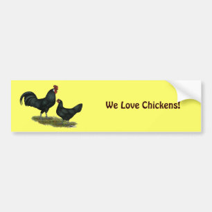 Adesivo Para Carro Augsburger Chickens