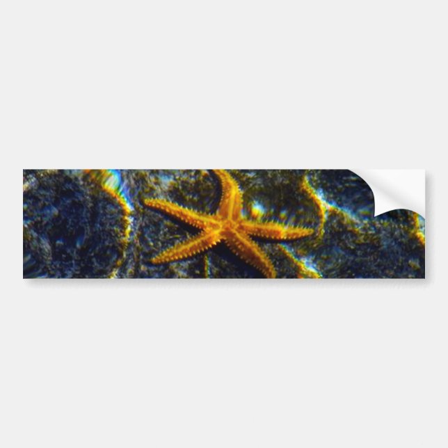 Adesivo Para Carro Autocolante de Starfish (Frente)