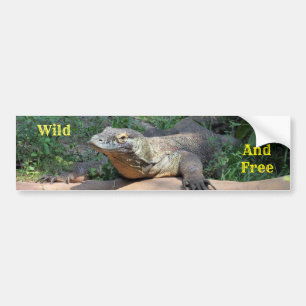Adesivo Para Carro Autocolante do Dragão do Komodo Wild e Livre