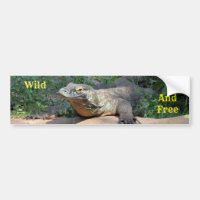Autocolante do Dragão Komodo Selvagem e Livre