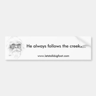 Adesivo Para Carro Autocolante no vidro traseiro