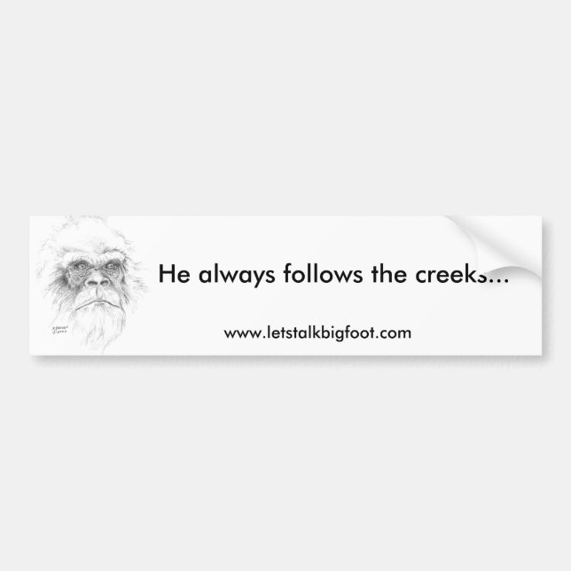 Adesivo Para Carro Autocolante no vidro traseiro (Frente)