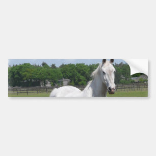 Adesivo Para Carro Autocolante no vidro traseiro árabe do cavalo
