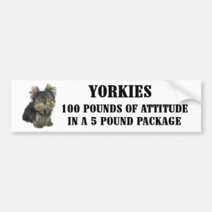 Adesivo Para Carro Autocolante no vidro traseiro da atitude de Yorkie