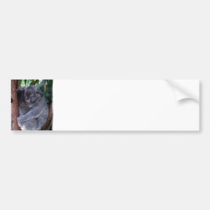 Adesivo Para Carro Autocolante no vidro traseiro da família do Koala