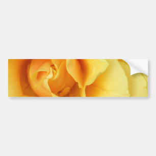 Adesivo Para Carro Autocolante no vidro traseiro da flor do rosa