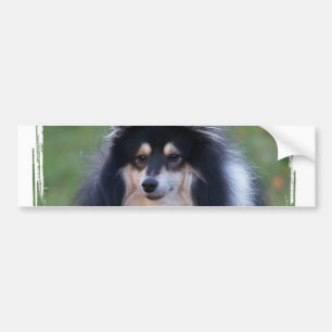 Adesivo Para Carro Autocolante no vidro traseiro da foto de Sheltie